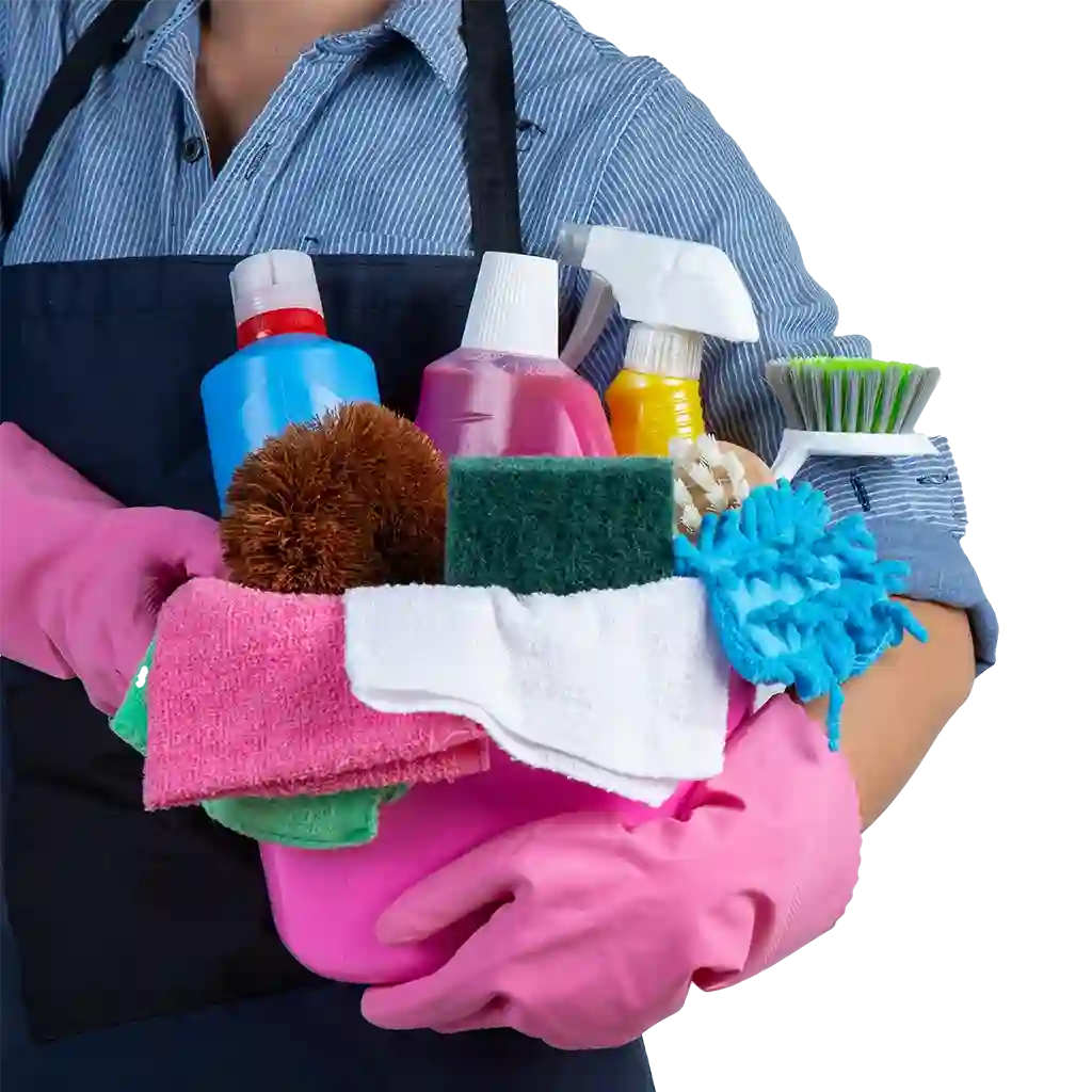 Professional cleaning company UAE